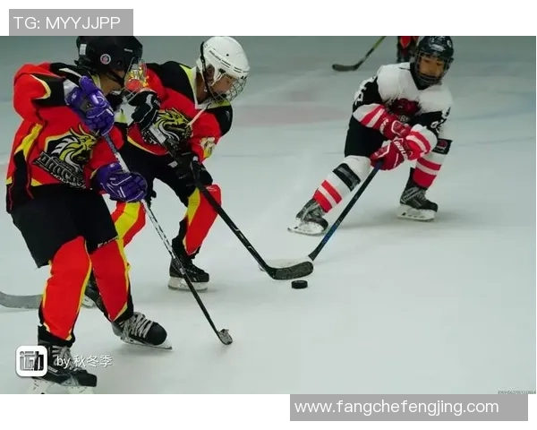 北京羽毛球队总决赛表现分析与状态评估全景回顾